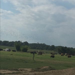 Meet your Posher, Zaina